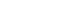 Shinywilds Casino Logo
